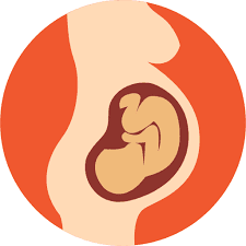 Prenatal and Developmental Factors