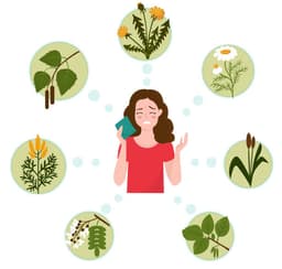 Outdoor Allergens