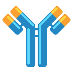 Antibodies