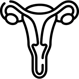 Fallopian Tube