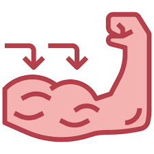 Muscle