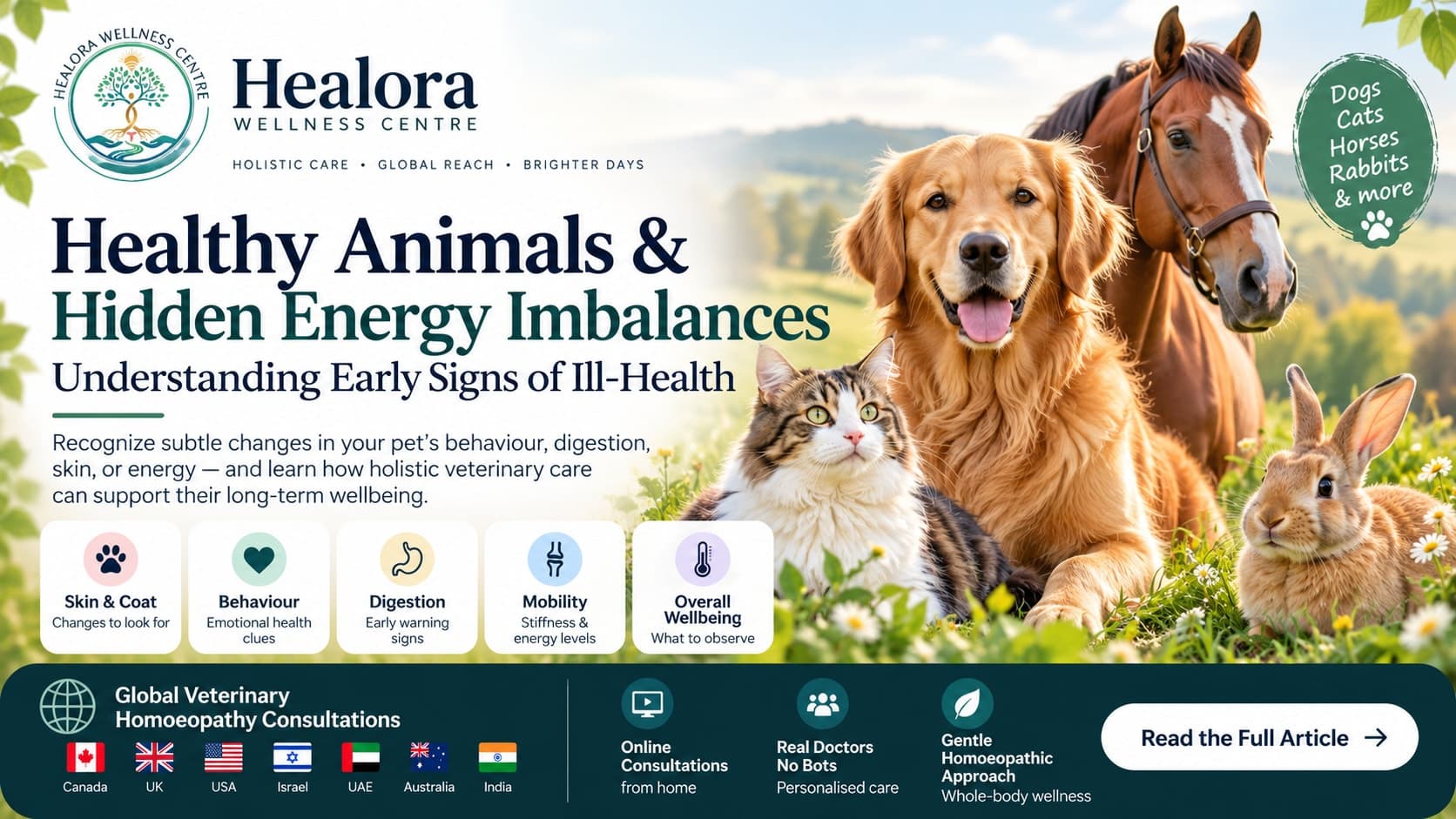 Healthy Animals & Hidden Energy Imbalances